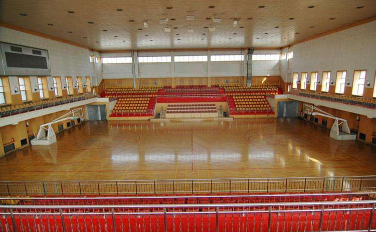 東莞某中學體育館吸音板工程